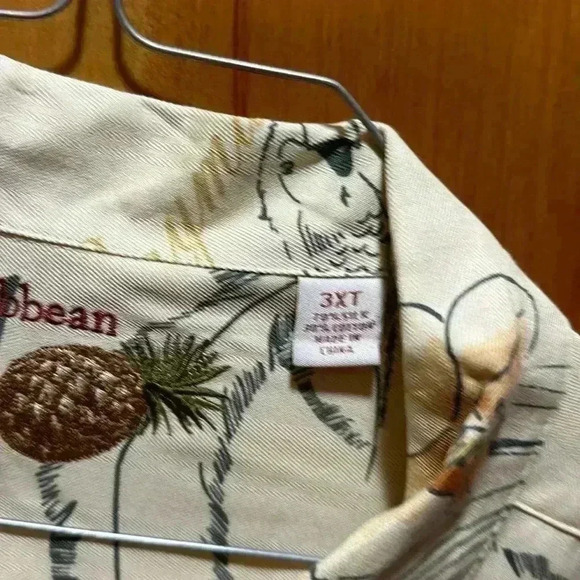 Men’s button-down silk shirt - Picture 3 of 5